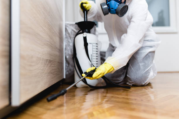 Best Pest Control Near Me  in Mount Sterling, OH