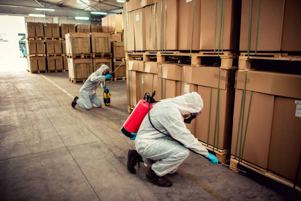 Best Termite Control Services  in Mount Sterling, OH