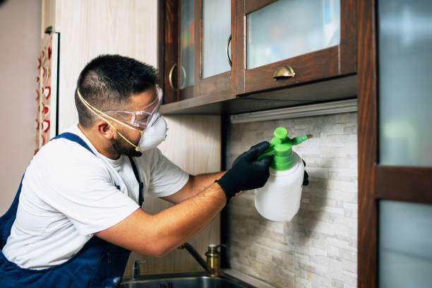 Best Flea Control Services  in Mount Sterling, OH