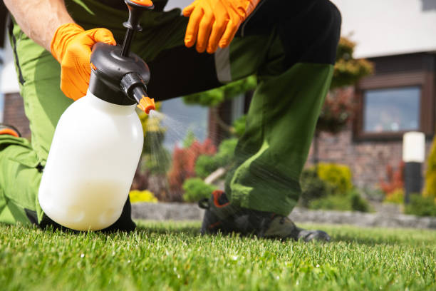 Best Ant Control Services  in Mount Sterling, OH